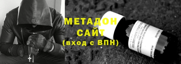 индика Алексин