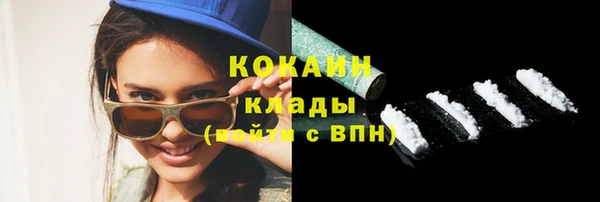 прущие грибы Михайлов