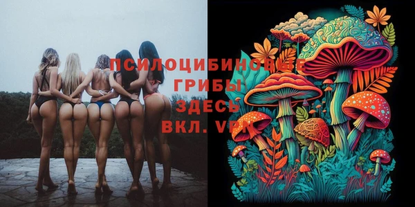 сатива Алексеевка