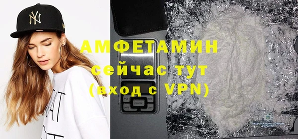 индика Алексин